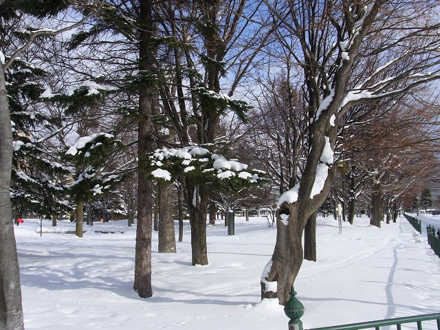 f:id:bibi-kirara:20210121001636j:plain
