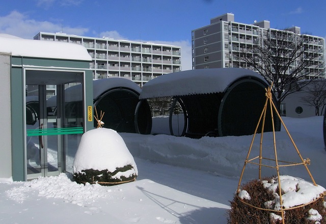 f:id:bibi-kirara:20210121001744j:plain