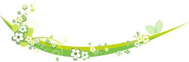 f:id:bibi-kirara:20210131234846j:plain