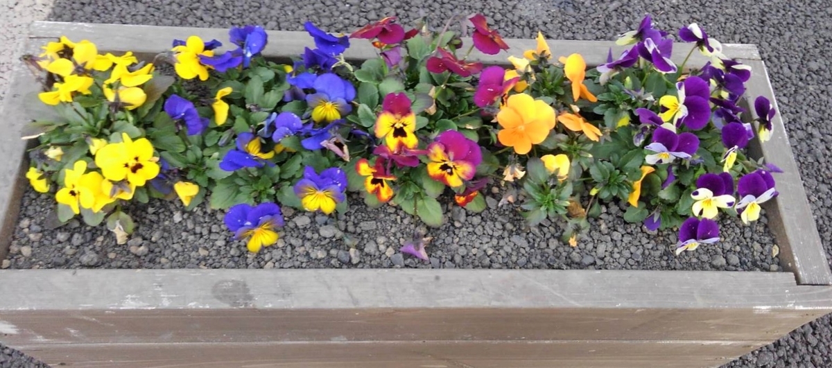 f:id:bibi-kirara:20210204232000j:plain