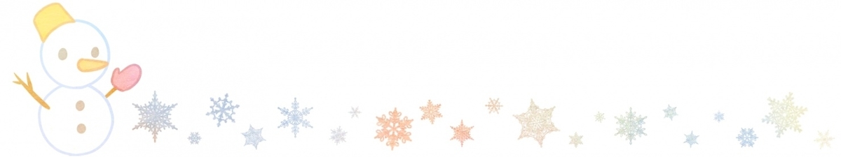 f:id:bibi-kirara:20210213142425j:plain