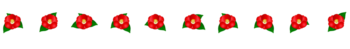 f:id:bibi-kirara:20210304162152p:plain