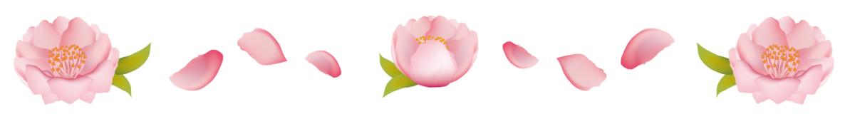 f:id:bibi-kirara:20210307085908p:plain