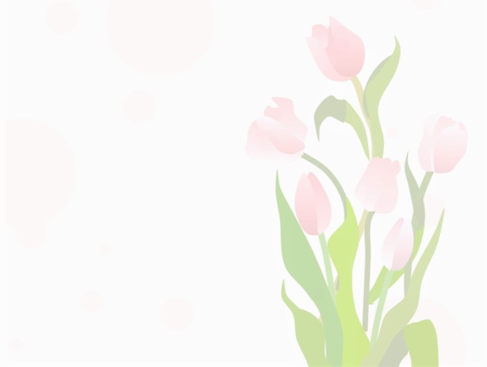 f:id:bibi-kirara:20210329003047j:plain