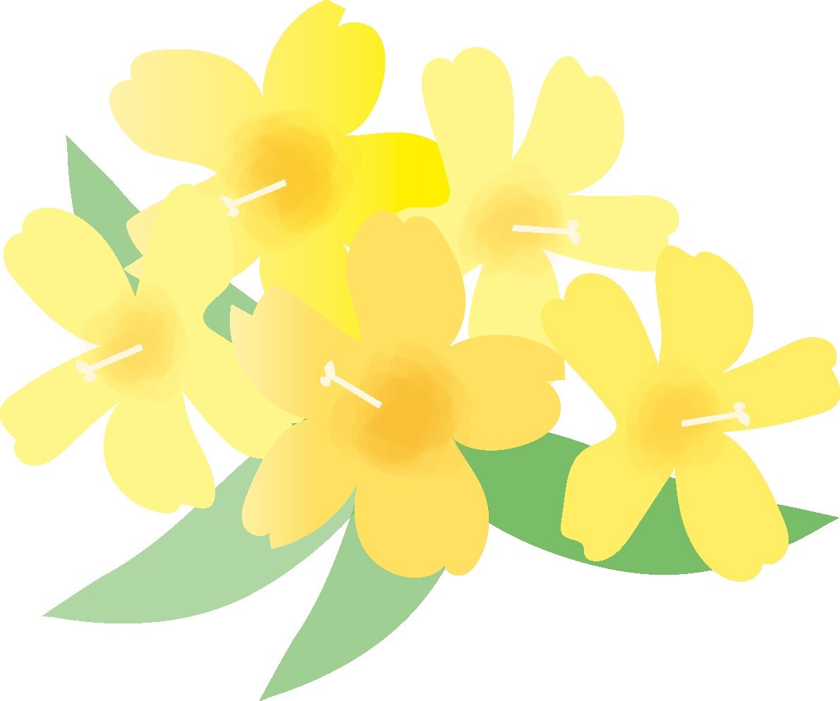 f:id:bibi-kirara:20210330141604j:plain