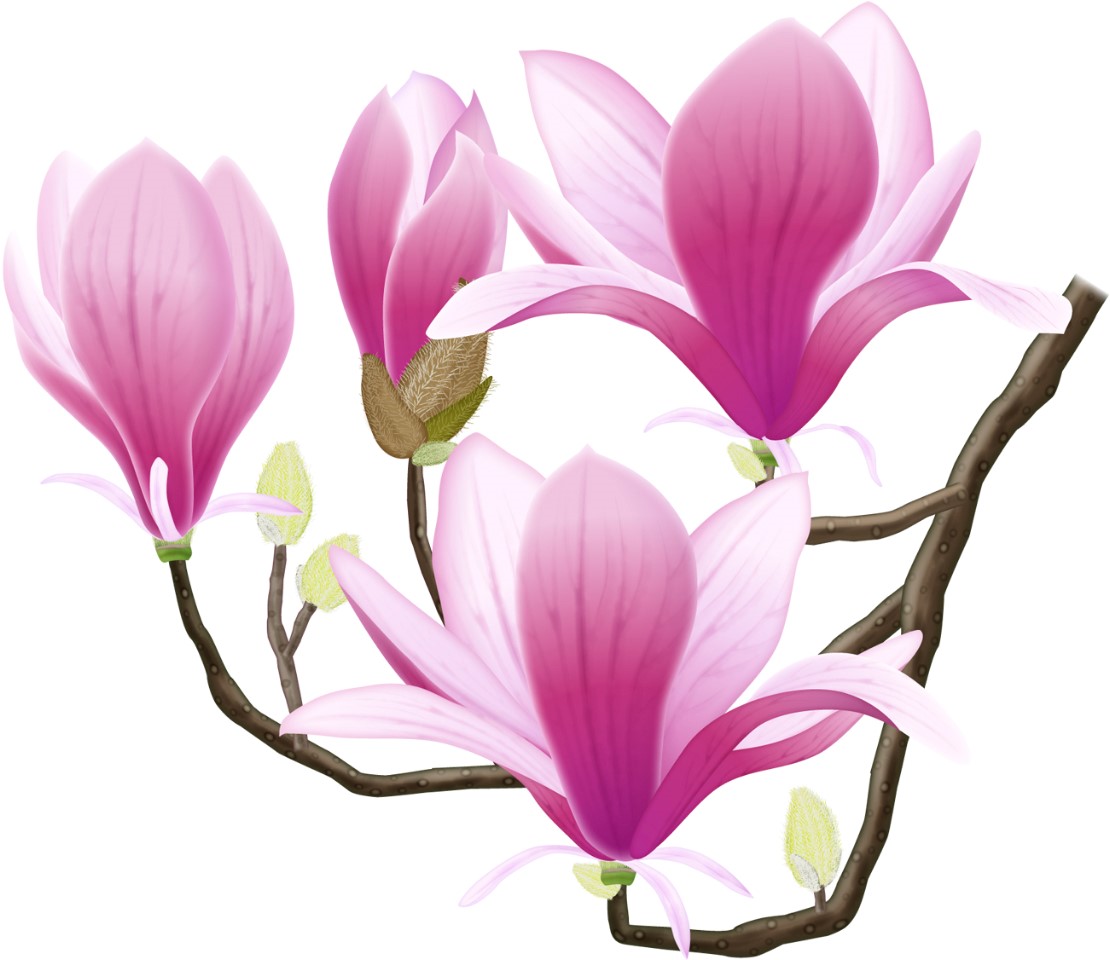 f:id:bibi-kirara:20210401134025j:plain