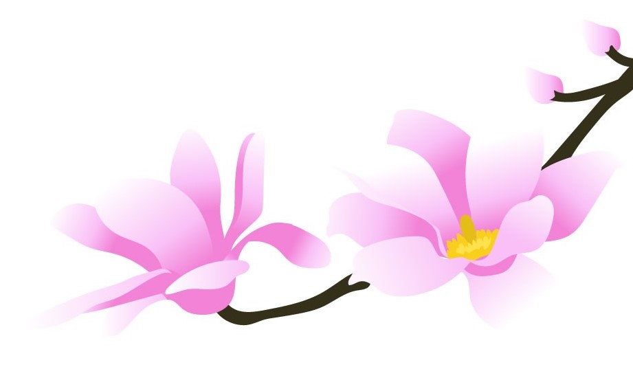 f:id:bibi-kirara:20210405151026j:plain