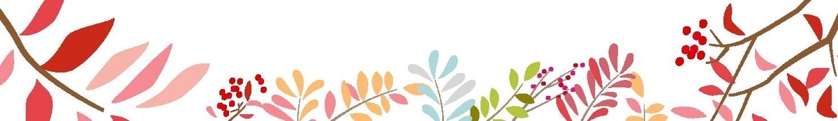 f:id:bibi-kirara:20210408002530j:plain