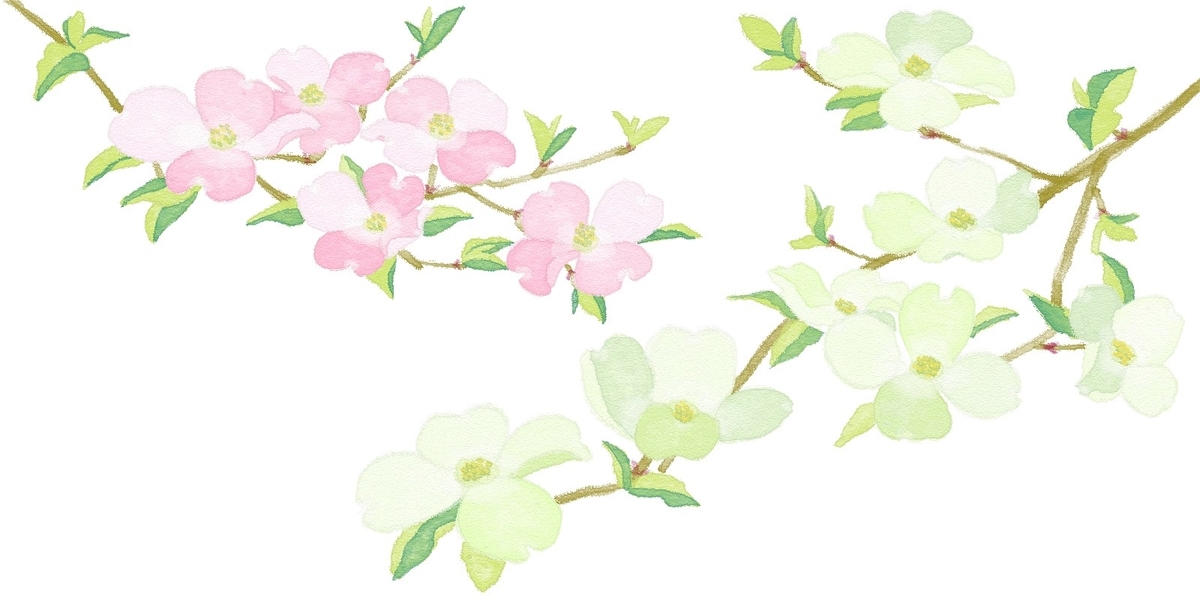 f:id:bibi-kirara:20210408135334j:plain