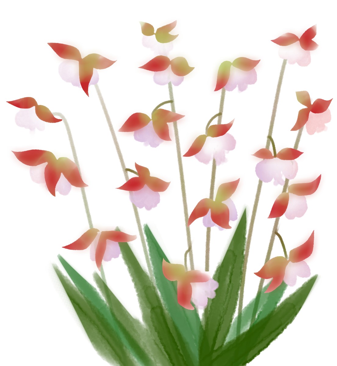 f:id:bibi-kirara:20210409135915j:plain