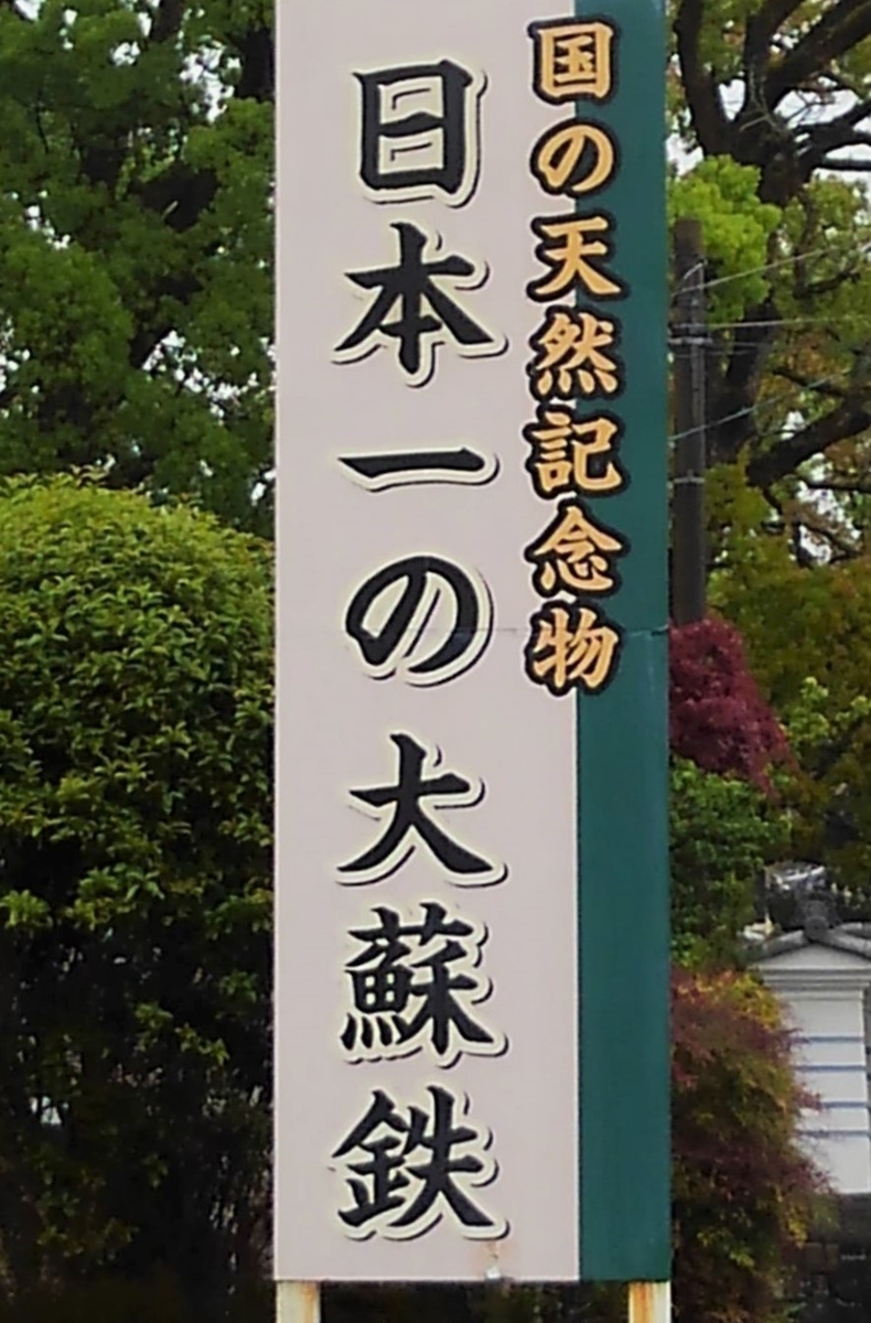 f:id:bibi-kirara:20210413163005j:plain