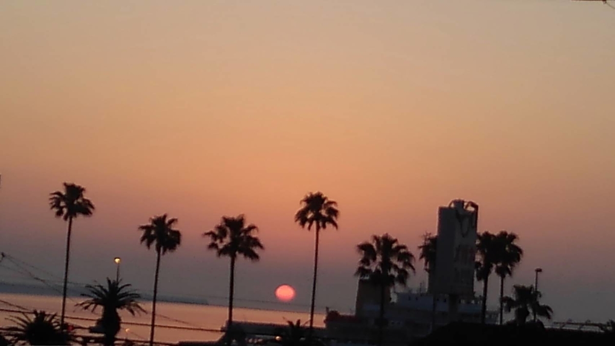 f:id:bibi-kirara:20210523221221j:plain