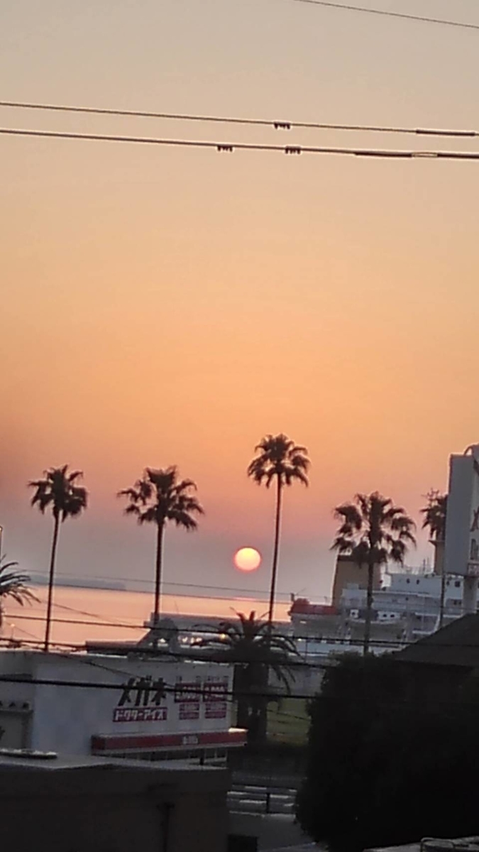 f:id:bibi-kirara:20210523223038j:plain
