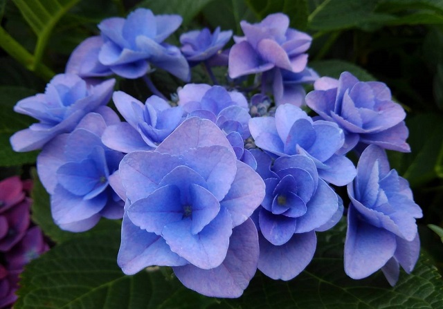 f:id:bibi-kirara:20210530093428j:plain
