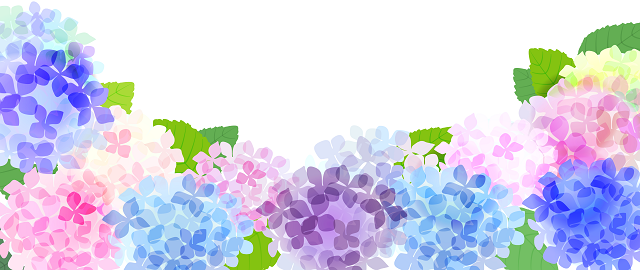 f:id:bibi-kirara:20210602153421p:plain