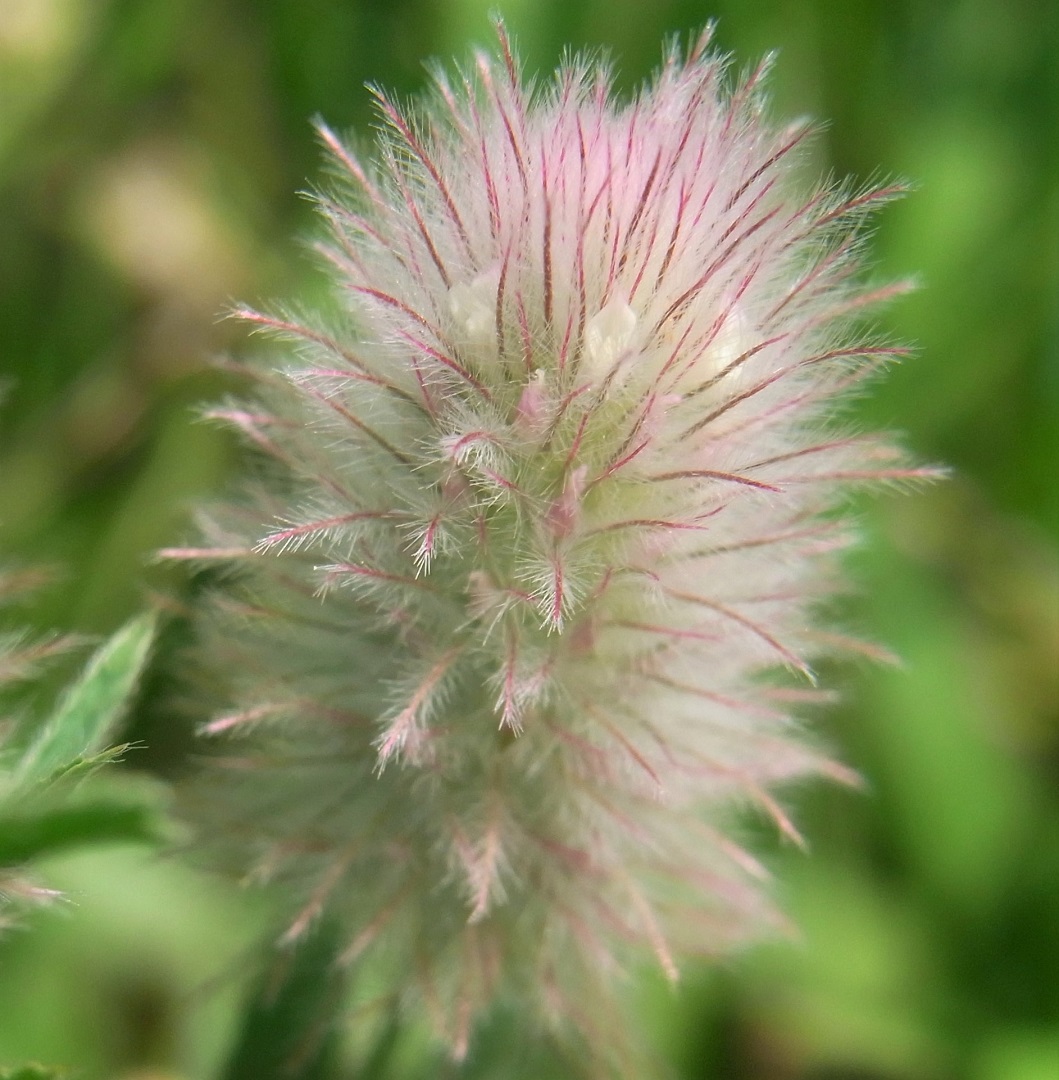 f:id:bibi-kirara:20210716202145j:plain