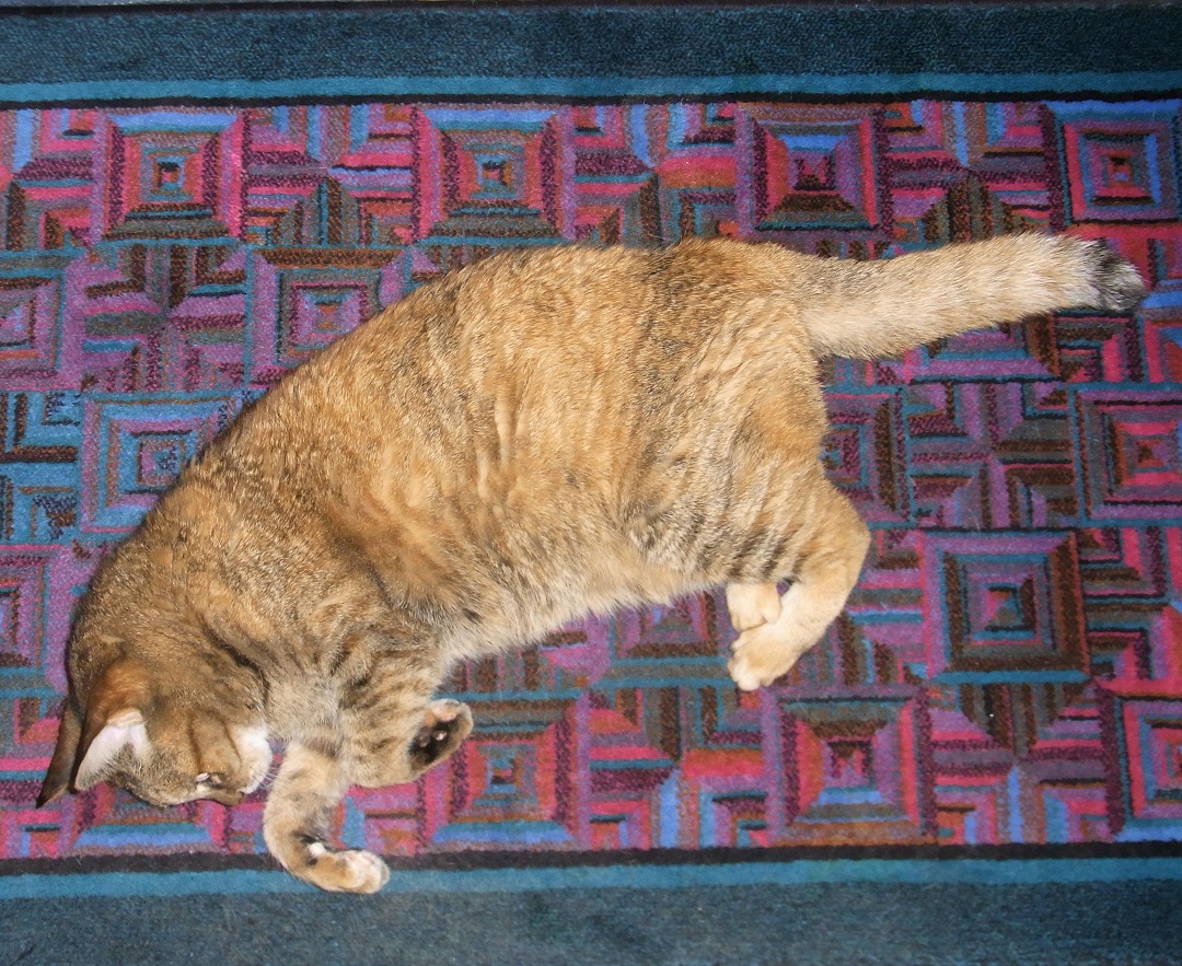 f:id:bibi-kirara:20210723100816j:plain