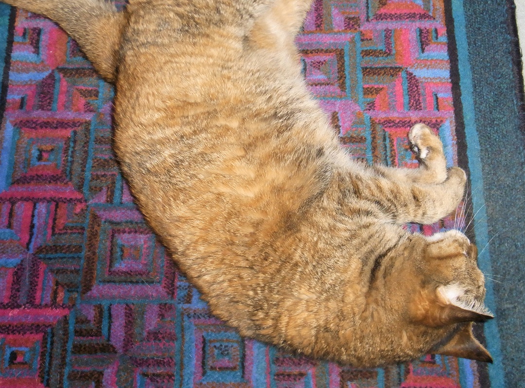 f:id:bibi-kirara:20210723100835j:plain