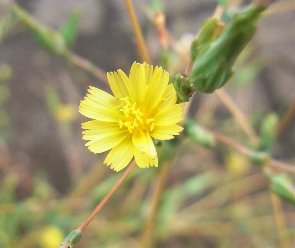 f:id:bibi-kirara:20210915141837j:plain