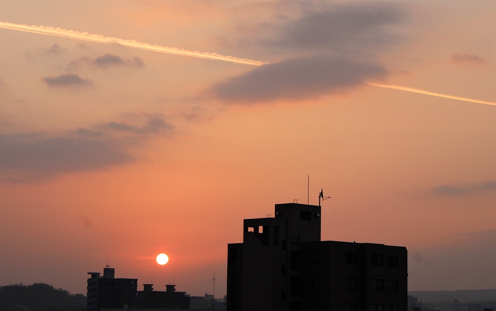 f:id:bibi-kirara:20211130091307j:plain