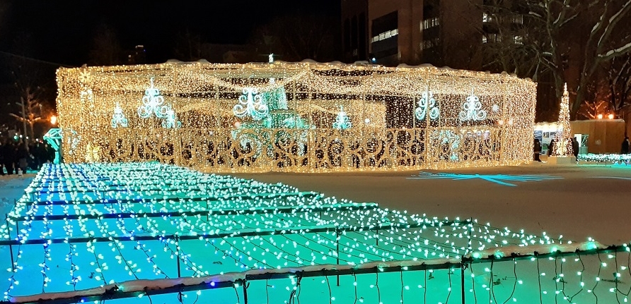 f:id:bibi-kirara:20211221165012j:plain