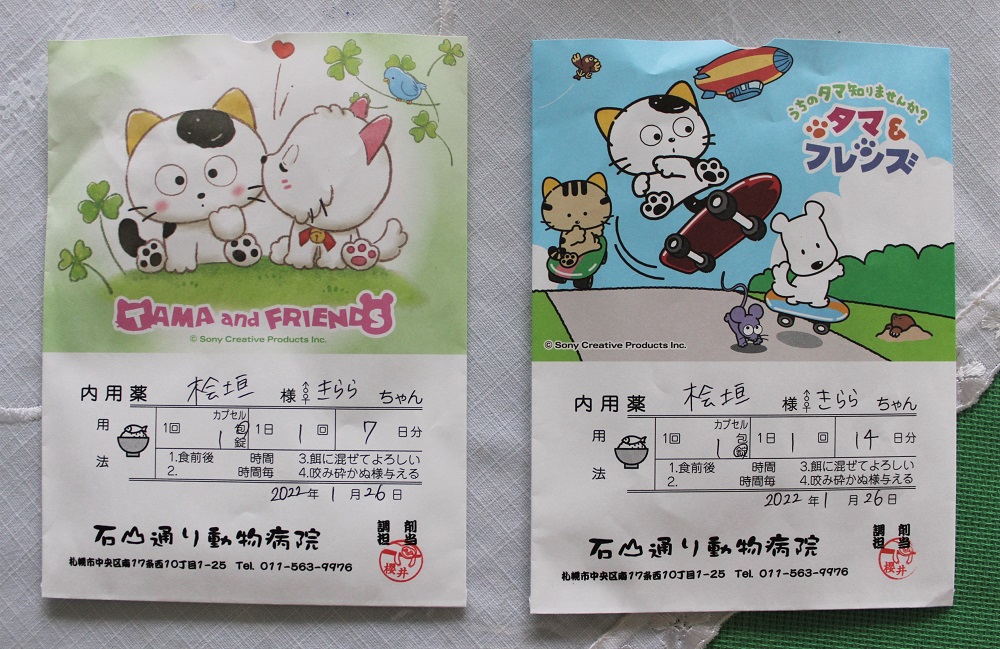 f:id:bibi-kirara:20220126140354j:plain