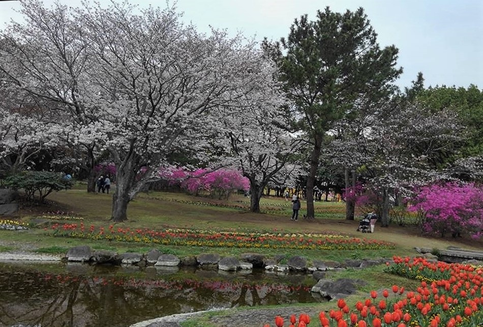 f:id:bibi-kirara:20220401175503j:plain