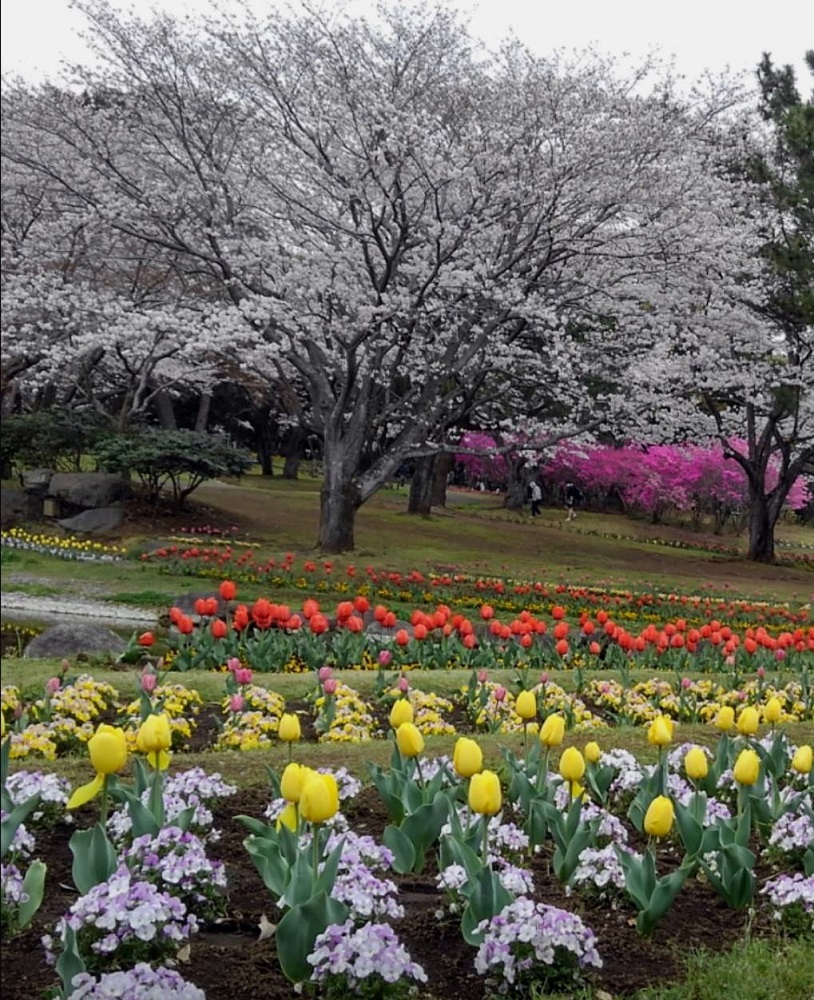 f:id:bibi-kirara:20220401175514j:plain