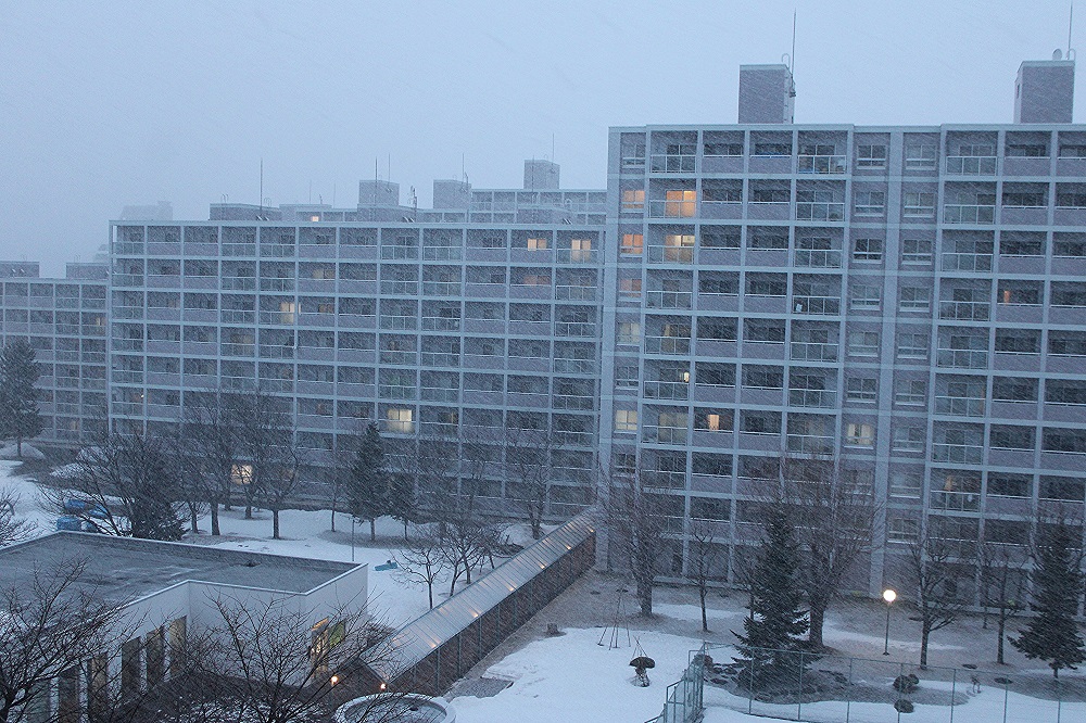 f:id:bibi-kirara:20220401183706j:plain