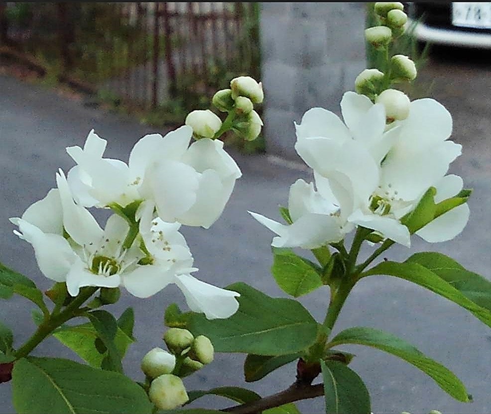 f:id:bibi-kirara:20220402122620j:plain