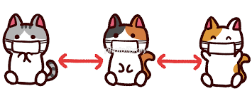 f:id:bibi-kirara:20220409095156p:plain