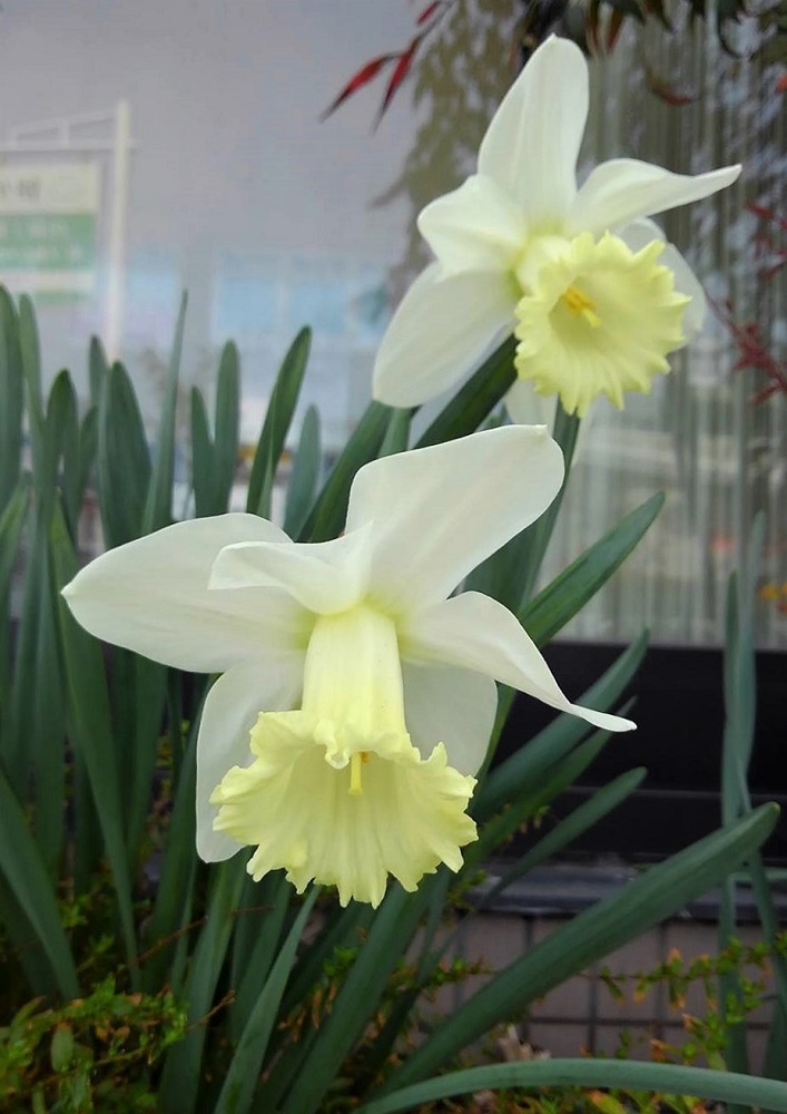 f:id:bibi-kirara:20220412121221j:plain