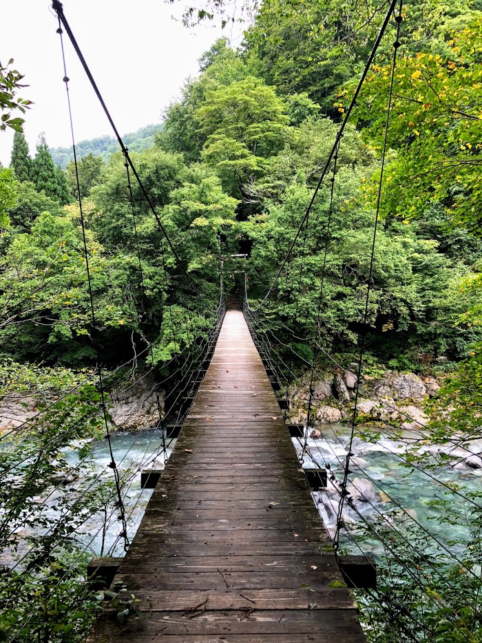 f:id:bibimaru:20180908150121j:plain f:id:bibimaru:20180908150121j:plain