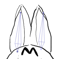 f:id:bibinbaleo:20170412114608p:plain f:id:bibinbaleo:20170412114608p:plain