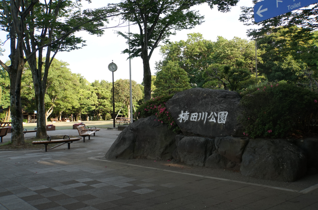 f:id:bibinbaleo:20180526101745p:plain f:id:bibinbaleo:20180526101745p:plain