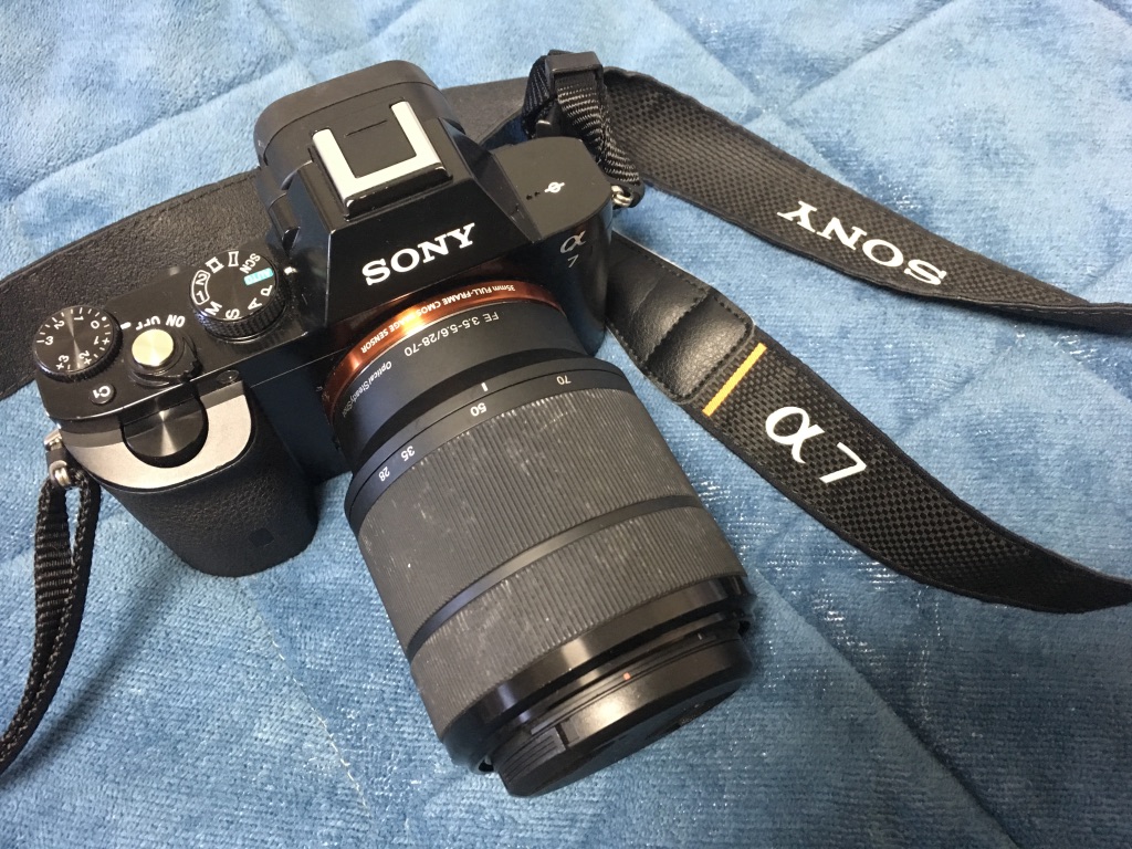 f:id:bibinbaleo:20181025215902j:plain