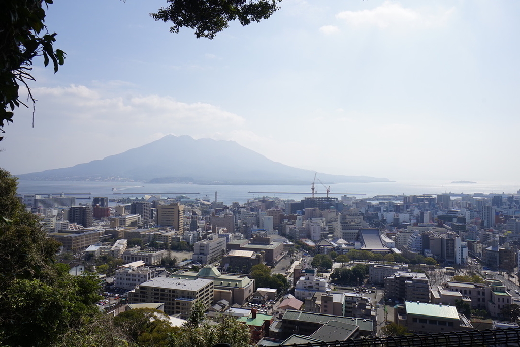 f:id:bibinbaleo:20190312223358j:plain f:id:bibinbaleo:20190312223358j:plain