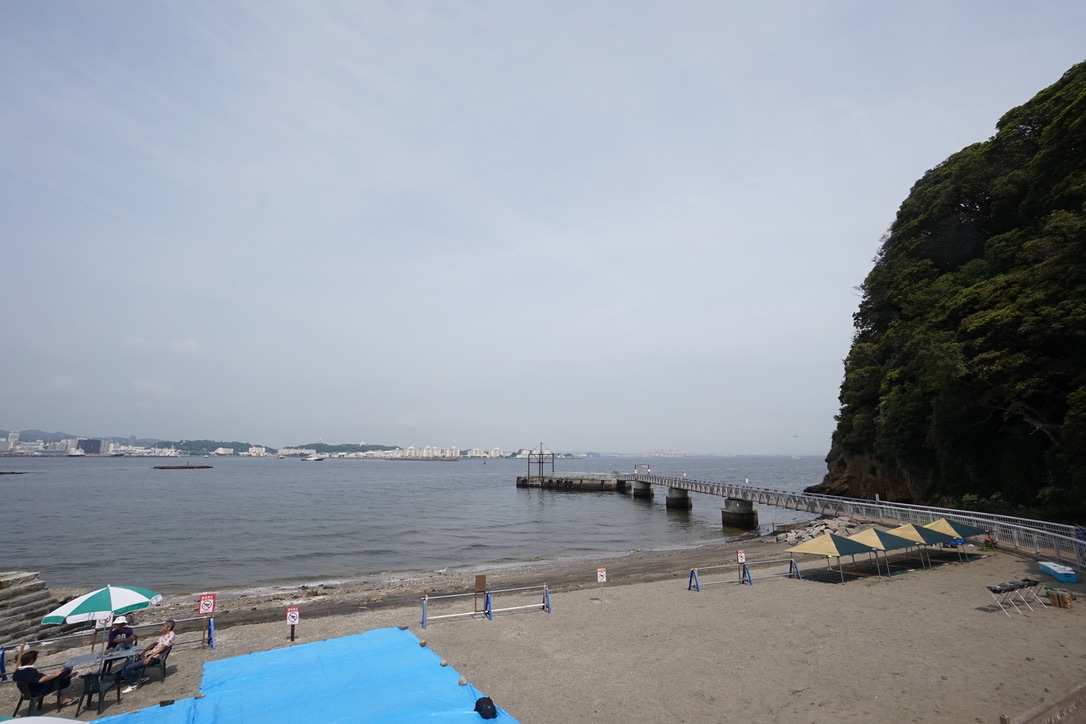 f:id:bibinbaleo:20190601150412j:plain f:id:bibinbaleo:20190601150412j:plain