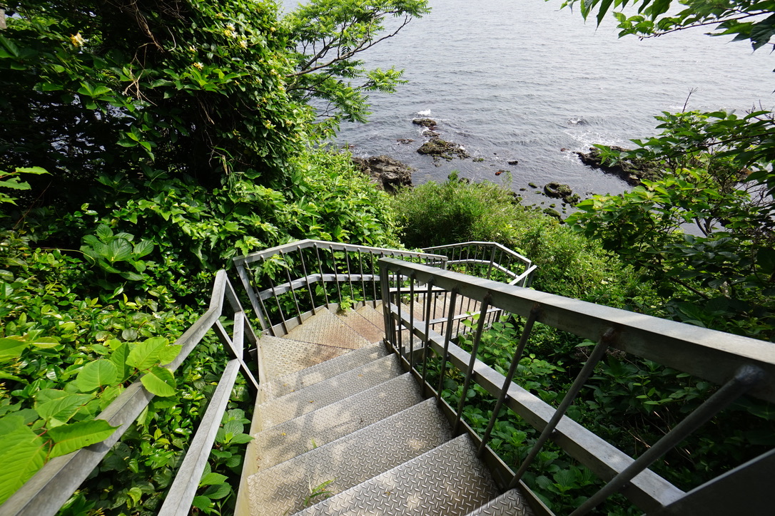 f:id:bibinbaleo:20190601150447j:plain f:id:bibinbaleo:20190601150447j:plain