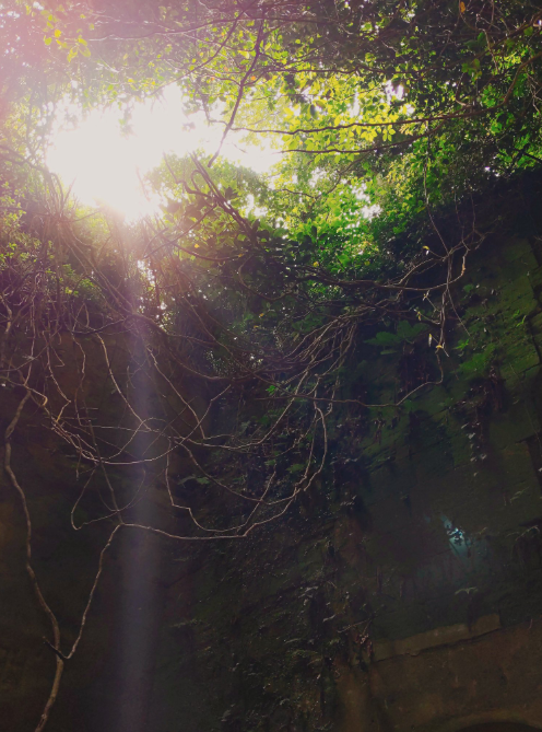 f:id:bibinbaleo:20190601155504p:plain f:id:bibinbaleo:20190601155504p:plain