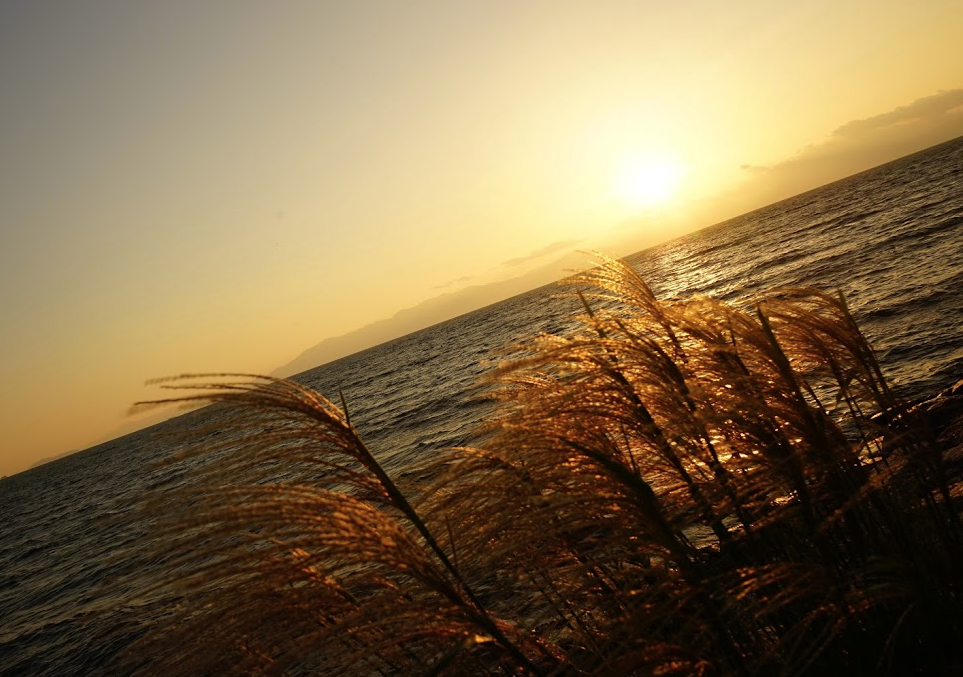 f:id:bibinbaleo:20190829213205p:plain