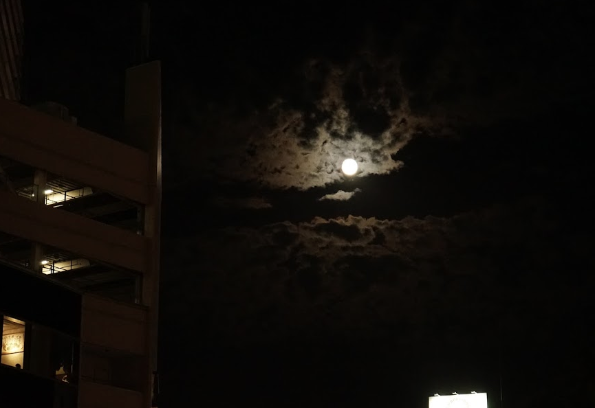 f:id:bibinbaleo:20190829213231p:plain