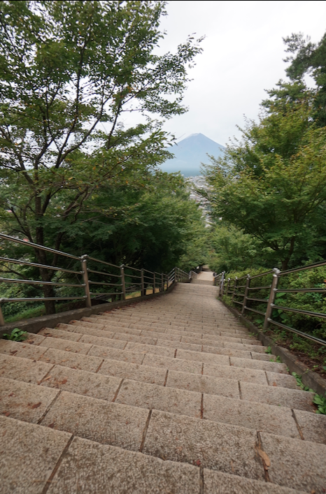 f:id:bibinbaleo:20200921220240p:plain