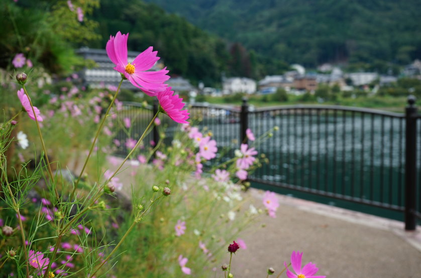 f:id:bibinbaleo:20200922100817p:plain