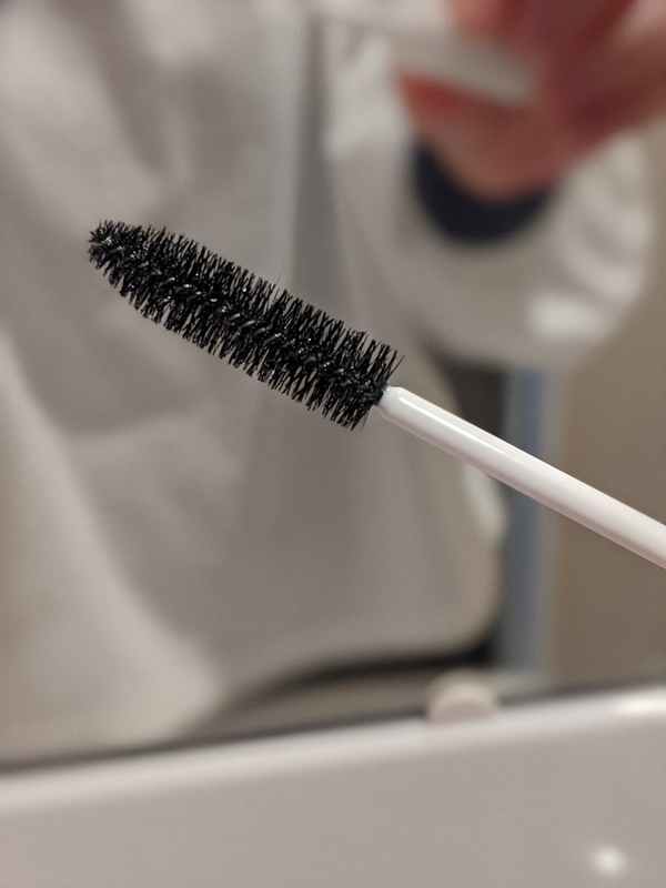 f:id:bibinbaleo:20201025193424j:plain