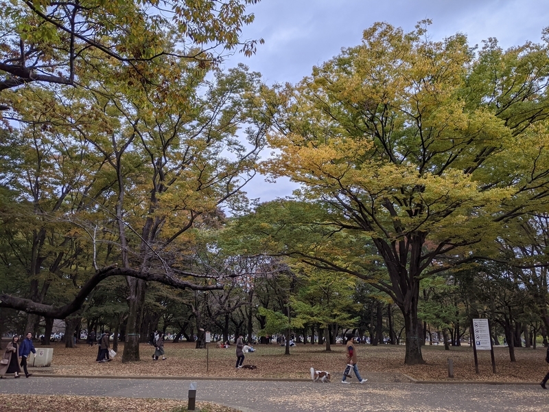 f:id:bibinbaleo:20201102085945j:plain