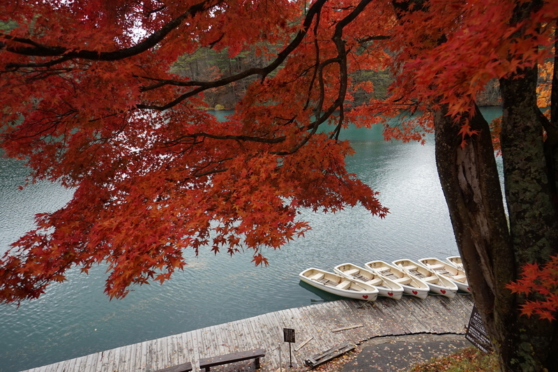 f:id:bibinbaleo:20201106082644j:plain