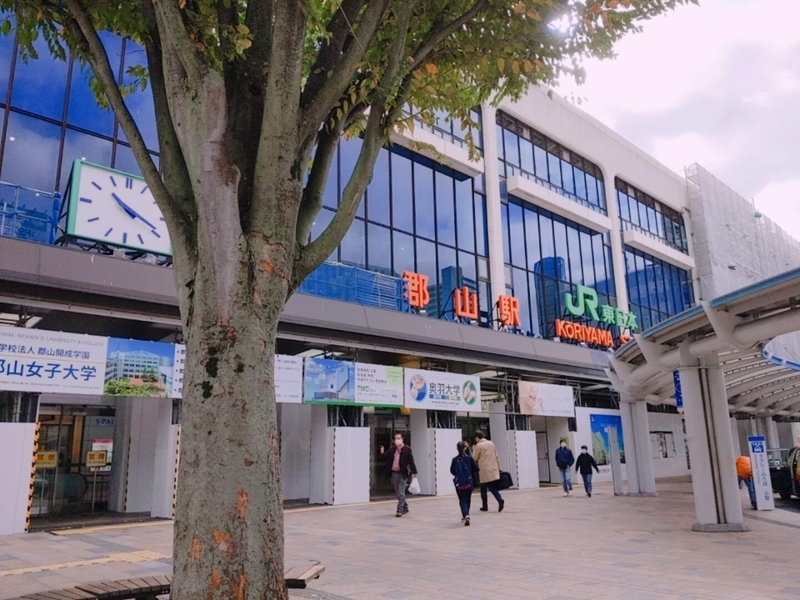 f:id:bibinbaleo:20201106105315j:plain
