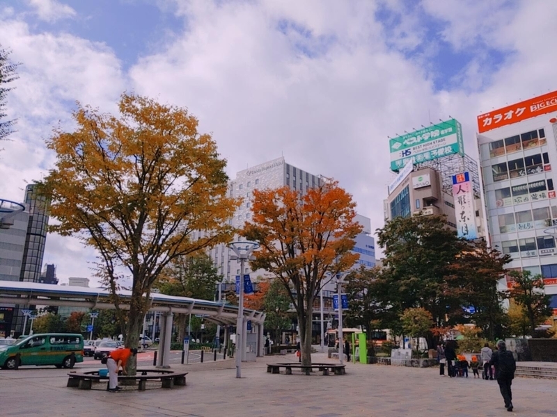 f:id:bibinbaleo:20201106105320j:plain