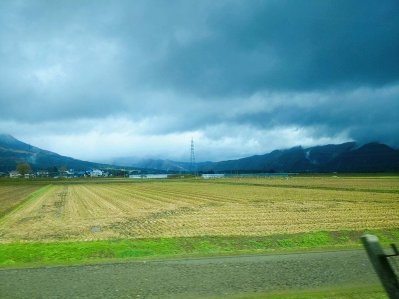 f:id:bibinbaleo:20201106105425j:plain